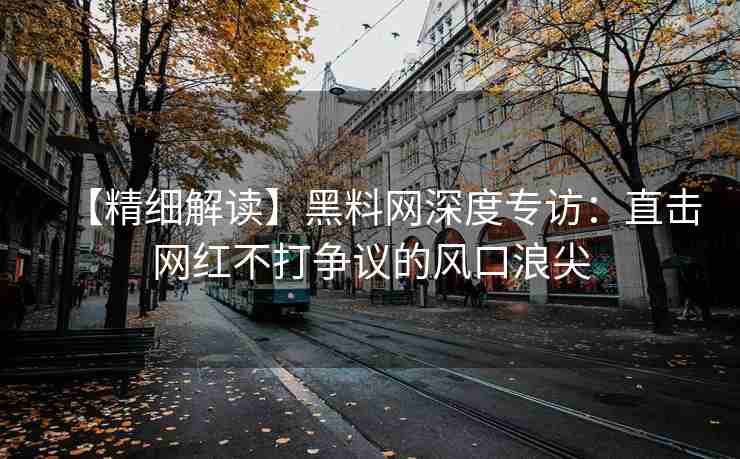 【精细解读】黑料网深度专访：直击网红不打争议的风口浪尖